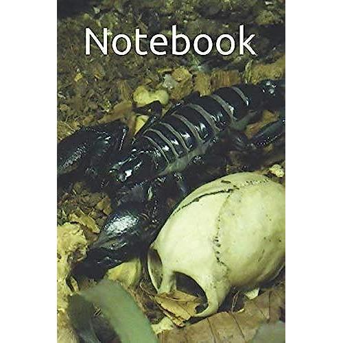 Notebook: A Photo Of Scorpion, Skull, Animals, Office Planner, Chaos Coordinator, Journal For Writing, Planners And Diaries To Write In, College Ruled Size 6" X 9", 120 Pages, Blank Dotted