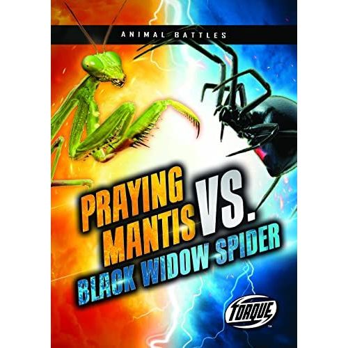 Praying Mantis Vs. Black Widow Spider