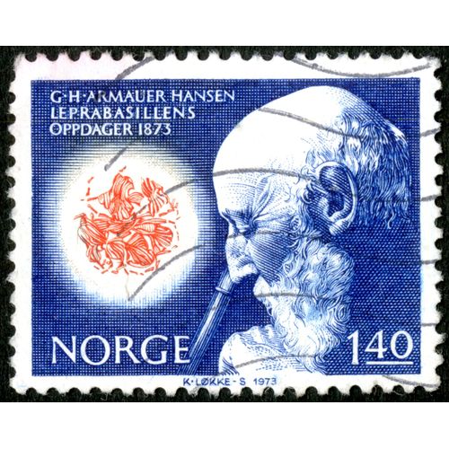 Timbre Oblitéré Norge, G.H. Armauer Hansen, Leprabasillens, Oppdager 1873, 1973, 1.40
