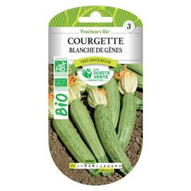 Graines Courgette Blanche De Gênes Bio Les Doigts Verts