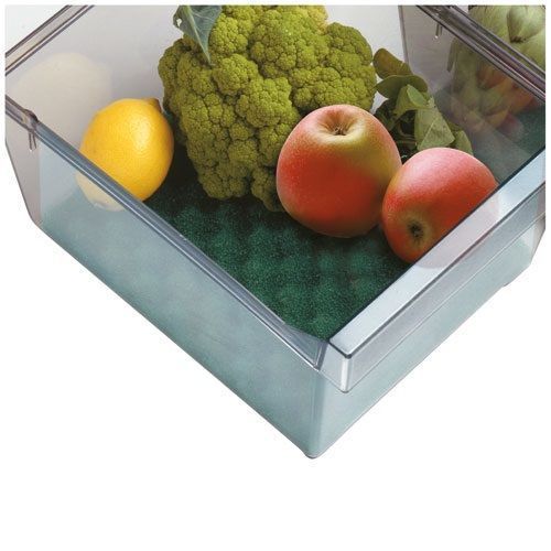Base conservante pour bac frigo 47x30cm
