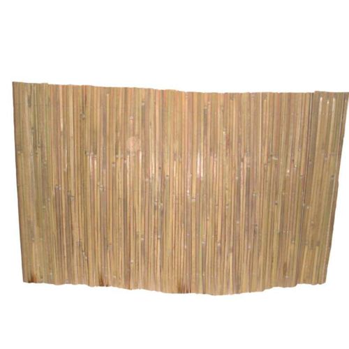 Bambou Brise Vue Naturel Werka Pro