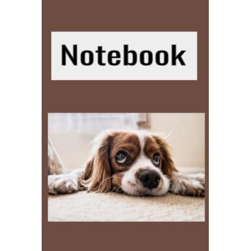 Notebook: College Rule Notebook