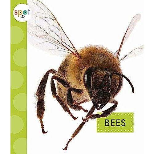 Bees