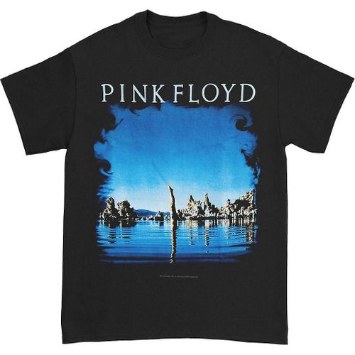 Pink Floyd Wish You Were Here Back T-Shirt