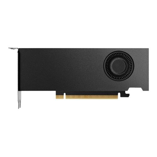 NVIDIA RTX 4000 SFF Ada Generation - Carte graphique - RTX 4000 Ada - 20 Go GDDR6 - PCIe 4.0 x16 - 4 x DisplayPort