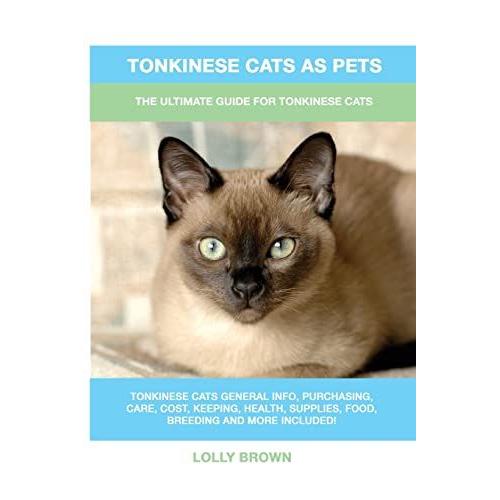 Tonkinese Cats As Pets