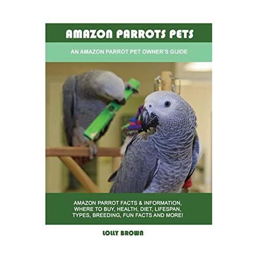 Amazon Parrots Pets