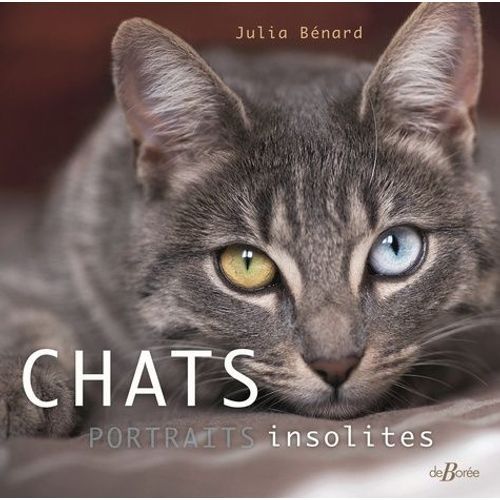 Chats - Portraits Insolites