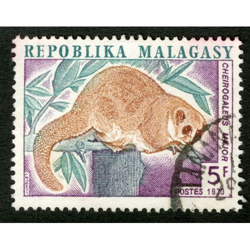 Repoblika Malagasy, Cheirogaleus Major, 5 F, Postes 1973,