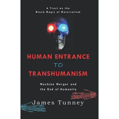 Human Entrance To Transhumanism: Machine Merger And The End Of Humanity