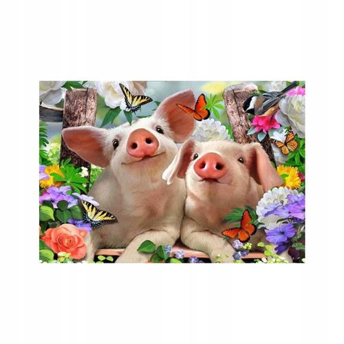 5d Diy Crystal Animal Peinture Oiseau Couple Cochon