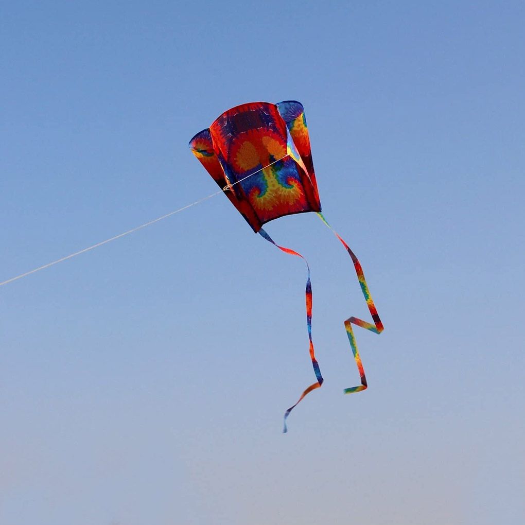 Cerf-Volant Parafoil Cerf-Volant Polyester Ripstop Cerf-Vola... - 6