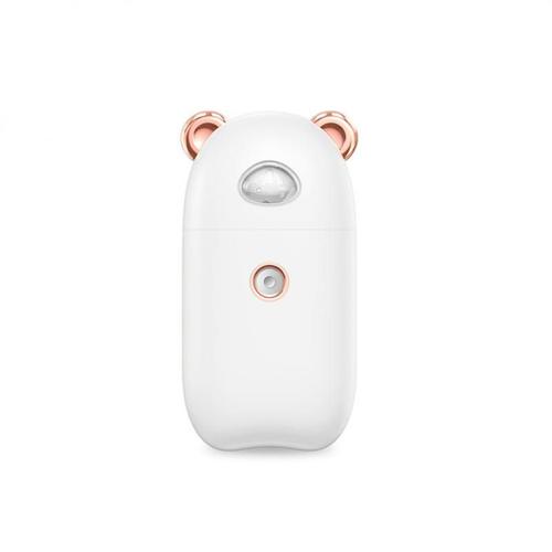 Mini Pulvérisateur Portatif , Humidificateur hydratant pour le visage