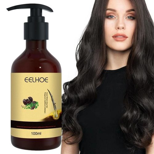 Shampooing Contrôle Du Sébum Pour Hommes Et Femmes, Anti-Réduction Des Cheveux, Polygonum Multithorum, Produits De Soins Capillaires Biologiques, Volumisant 