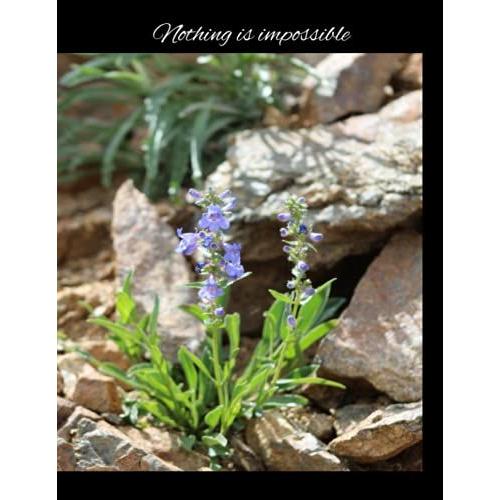 Nothing Is Impossible Notebook: Flower Paperback Notebook, 8.5x11, Journal, Composition, 104 Pages, Lined Paper