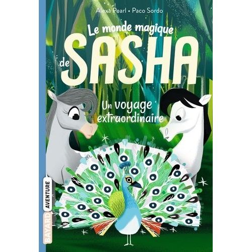 Le Monde Magique De Sasha Tome 2 - Un Voyage Extraordinaire