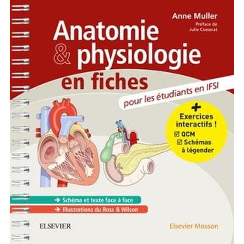 Anatomie Et Physiologie En Fiches Pour Les Étudiants En Ifsi