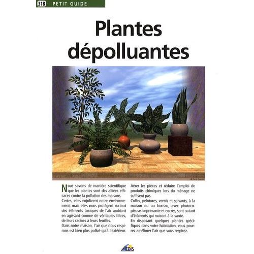 Plantes Dépolluantes