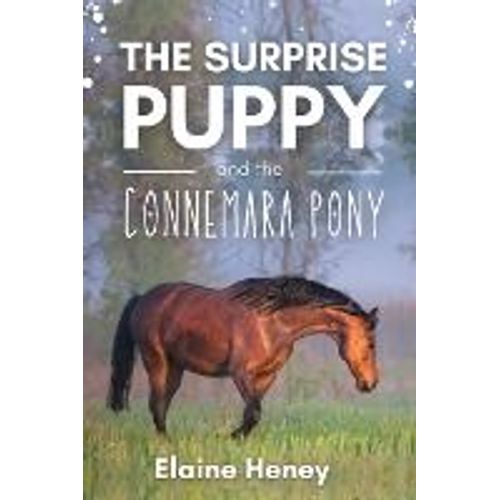 The Surprise Puppy And The Connemara Pony - The Coral Cove Horses Series