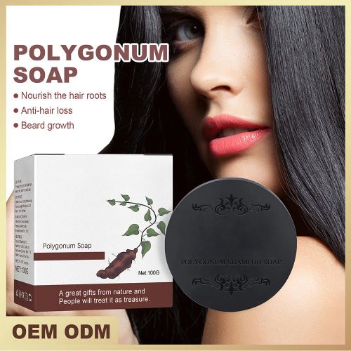 Polygonum Shampooing Savons Hydratants Pour Racines Capillaires, Fournitures De Soins Capillaires, Favorise La Croissance Des Cheveux Pour Femmes Et Hommes, 100ml 