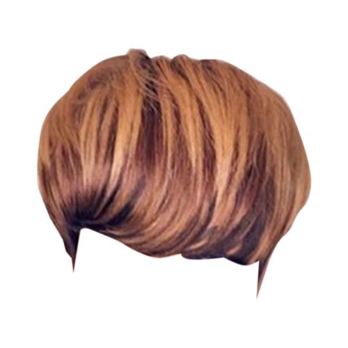 Perruque Duveteuse Courte Et Lisse Pour Femmes, Postiche Avec Bonnet À Cheveux, Effet Dégradé, Brun, Noir 