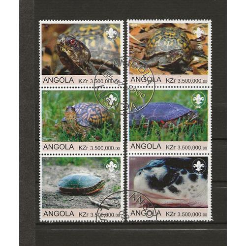 Tortues Du Monde - Serie De L'angola