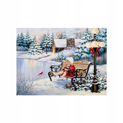 5d Diy Snow Girl Cerf Peinture Patinage Sur Glace