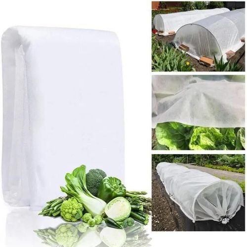 Housse d\hivernage pour Plantes - AMOUNE - Toison Non-tissée - 2x10m