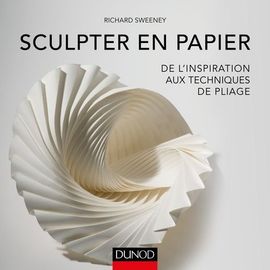 Sculpter En Papier - De L'inspiration Aux Techniques De Pliage