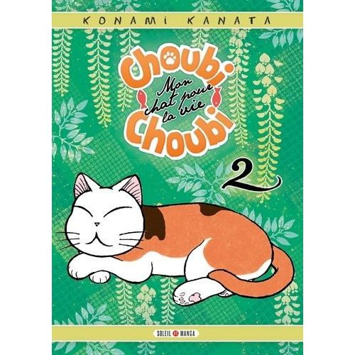 Choubi-Choubi - Mon Chat Pour La Vie - Tome 2