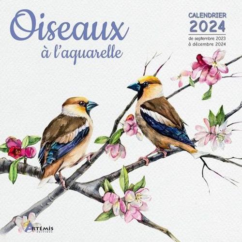 Oiseaux À L'aquarelle - Calendrier De Septembre 2023 À Décembre 2024