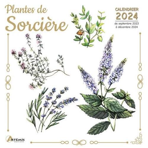 Plantes De Sorcière - Calendrier De Septembre 2023 À Décembre 2024
