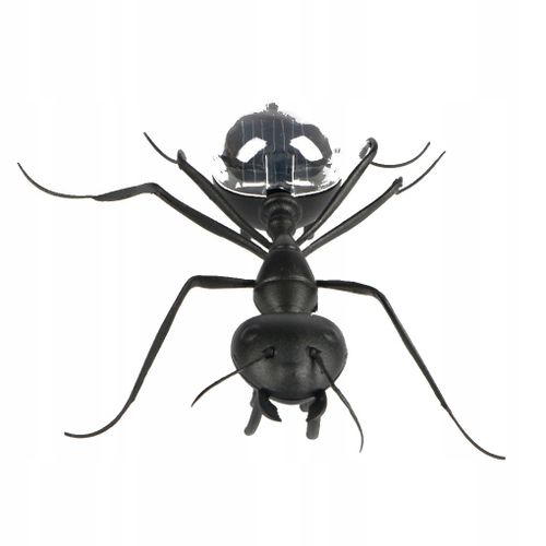 Insecte Enfants Cafard Jouets Magique