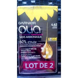 Lot 2 Colorations Garnier Olia Carmin Velours 