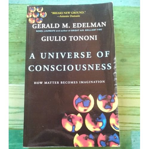 A Universe Of Consciousness