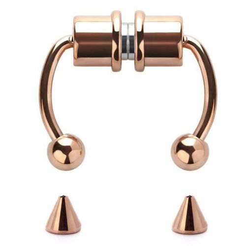 Anneaux Magnétiques En Fer À Cheval En Acier Inoxydable,Faux Septum,Faux Piercing,Réinitialisation On Hoop,Cadeau Pour Femme,Fille,Antarctique,Sion L