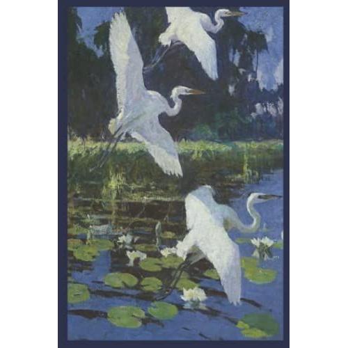 Journal: Frank Weston Benson - Great White Herons
