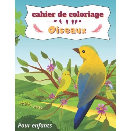 Cahier De Coloriage Oiseaux: Coloriage Pour Enfants