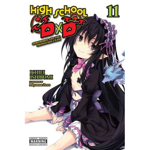 High School Dxd, Vol. 11 (Light Novel) (High School Dxd (Light Novel))