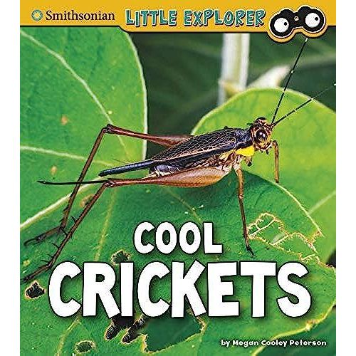 Cool Crickets