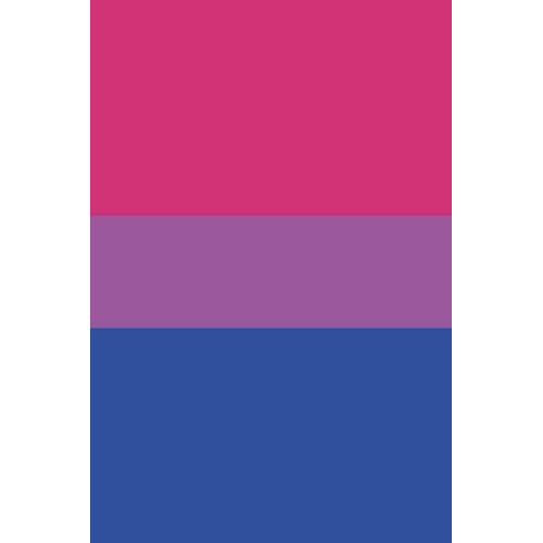 Bi Pride: Lgbtq+ Bisexual Pride Flag Blank Lined Notebook