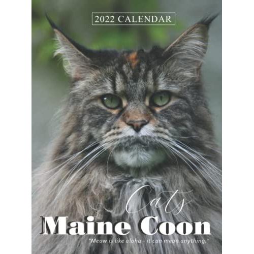 Maine Coon Cats 2022 Calendar: 12-Month Calendar 2022 From Jan 2022 To Dec 2022 In Mini Size 8x6 Inch