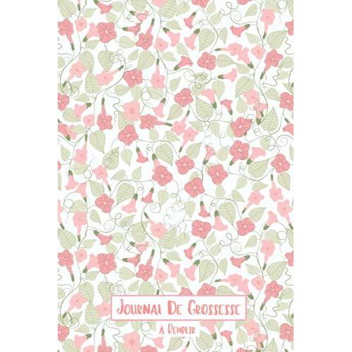 Carnet De Grossesse À Remplir: Journal De Suivi De Grossesse À Compléter, Bien Détaillé Avec Espace Pour Photos De Souvenirs, Pour Accompagner La ... (42 Semaines), Cadeau Pour Femme Enceinte