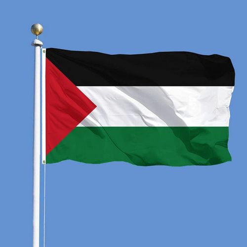 Drapeau Palestinien 90*150cm Drapeau Du Drapeau Palestinien N°4 En Polyester