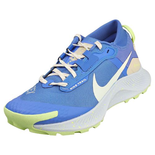 Nike Pegasus Trail Gorestex Baskets Mode Bleu Blanc