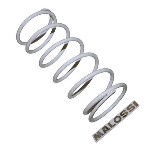 Ressort D Embrayage Malossi Pour Scooter Aprilia 850 Srv 2012 À 2018 2914121.W0 / 7.4k Neuf