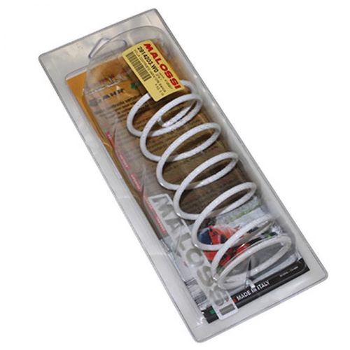 Ressort D Embrayage Malossi Pour Scooter Suzuki 125 Burgman 2007 À 2018 2914203.W0 / 2.8k Neuf