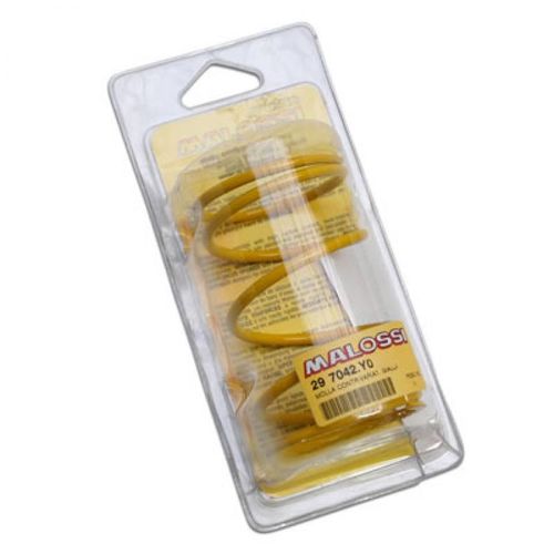 Ressort D Embrayage Malossi Pour Scooter Piaggio 50 Nrg 29 7042.Y0 / 6.1k Neuf