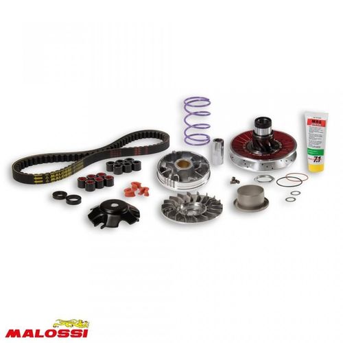 Variateur Malossi Pour Scooter Gilera 50 Ice 2002 6115781 / Over Range Mhr Alu Neuf